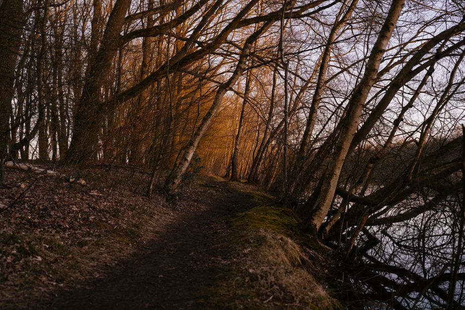 The Case for Wellness Without Perfectionism, the Honest Way