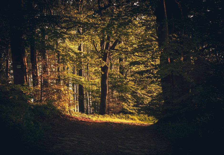 Wellness Without Perfectionism: Practical Steps You Can Use
