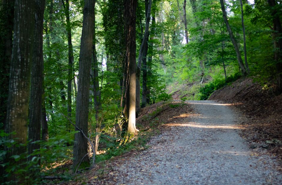 Wellness Without Perfectionism When You're Short on Time