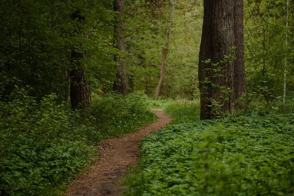 What Nobody Tells You About Health Over A Lifetime, Not A Season, Day by Day