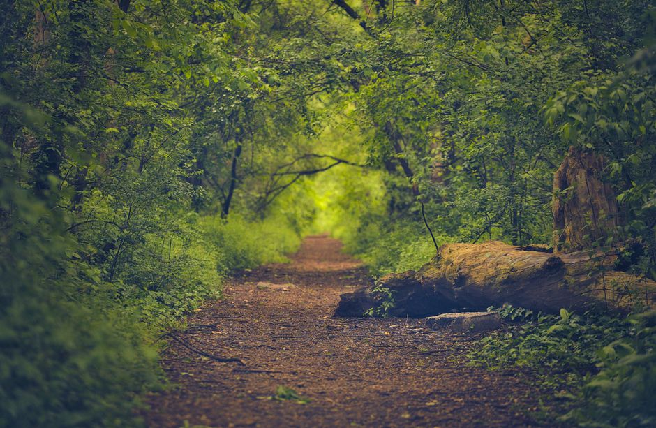 Where to Begin With Habits: How They Actually Form, Made Simple